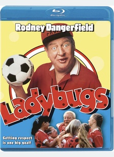Ladybugs