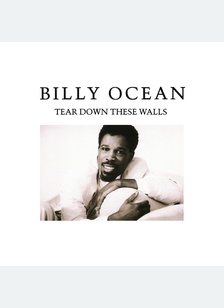 TEAR DOWN THESE WALLS