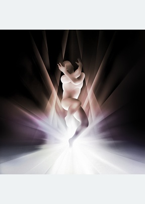 "CYR (Orchid 2 LP)"