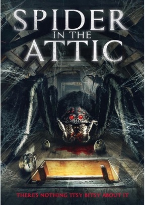 Spider in the Attic