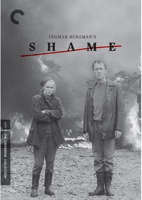 Shame
