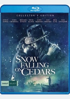 Snow Falling On Cedars