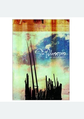 GIN BLOSSOMS:JUST SOUTH OF NOW