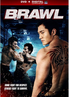 Brawl