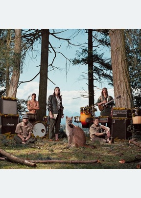 Wild Orchid Children Are Alexander Supertramp