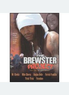 The Brewster Project