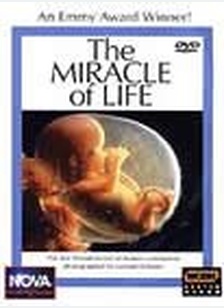 MIRACLE OF LIFE