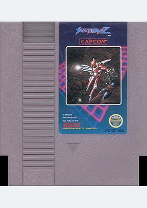 SECTION Z - NES