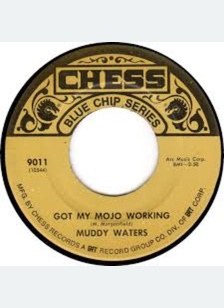 GOT MY MOJO WORKING