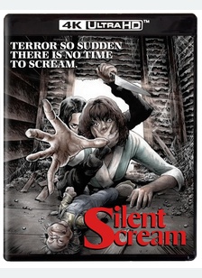 SILENT SCREAM (4K/BR)