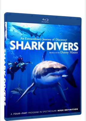 Shark Divers: Documentary Collection