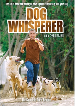 Dog Whisperer with Cesar Millan: The Complete Third Season