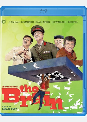 The Brain