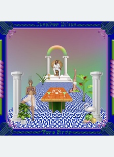 RARE BIRDS (LP)