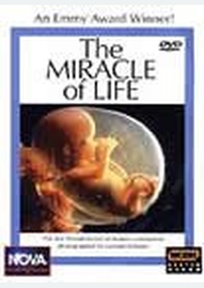 MIRACLE OF LIFE