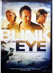 IN THE BLINK OF AN EYE