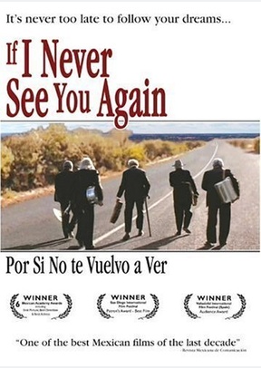 If I Never See You Again