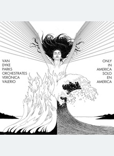 VAN DYKE PARKS ORCH (LP)