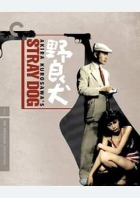 STRAY DOG:CRITERION (BR)
