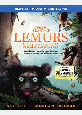 Island of Lemurs: Madagascar (IMAX)