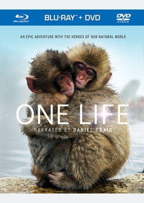 One Life