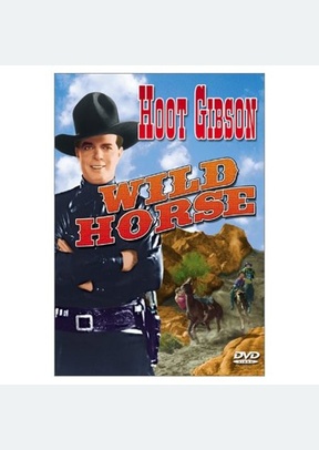 WILD HORSE