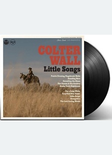 LITTLE SONGS (LP)