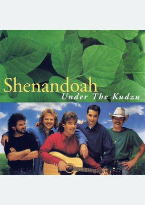 UNDER THE KUDZU