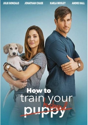 How To Train Your Husband