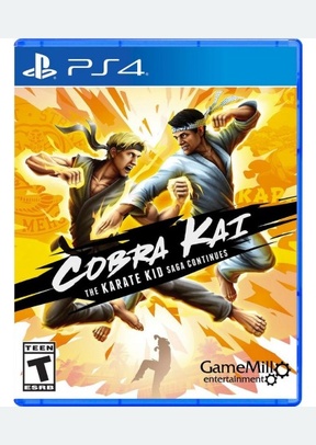Cobra Kai: The Karate Kid Saga Continues
