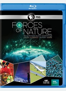 Forces Of Nature