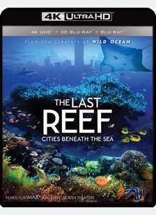 IMAX: The Last Reef - Cities Beneath the Sea
