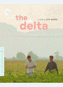 DELTA:CRITERION (BR)