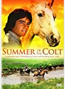 Summer Of The Colt