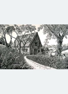 Field of Dreams by Tom Masse