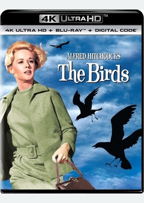 The Birds