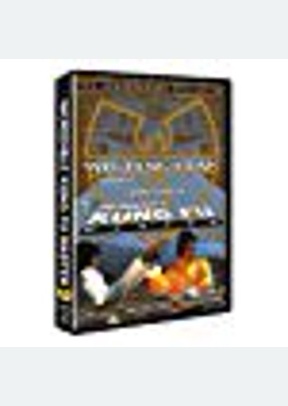 INCREDIBLE KUNG FU MASTER