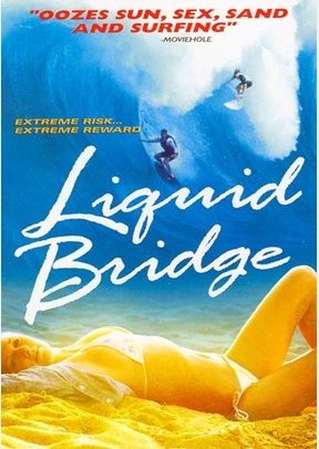 Liquid Bridge