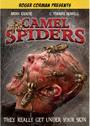 Camel Spiders