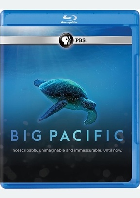 Big Pacific