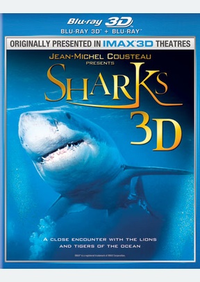 Sharks 3D
