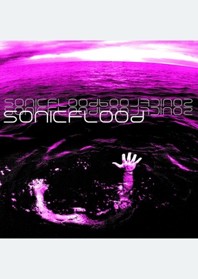 SONICFLOOD