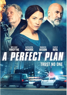 A Perfect Plan