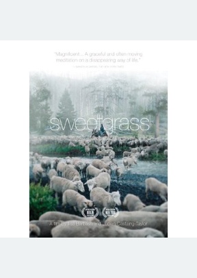 Sweetgrass