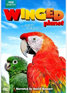 Winged Planet