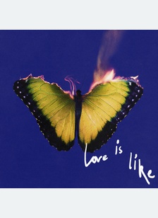 LOVE IS LIKE