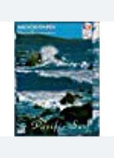 PACIFIFC SURF