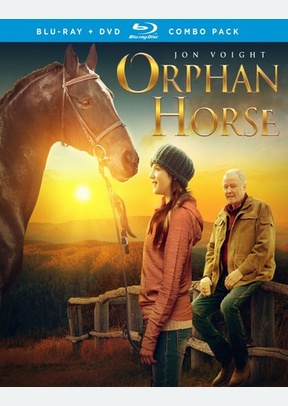 Orphan Horse