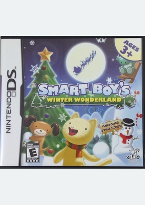 SMART BOYS WINTER WONDERLAND - Nintendo DS