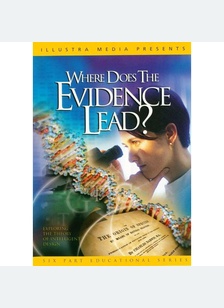 WHERE DOES THE EVIDENCE